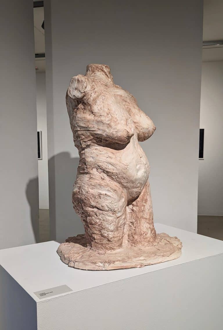 PXL_20250425_234840841-EDIT (1)